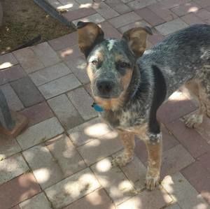 Meet your Posher, Vicki